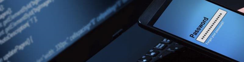 Protecting passwords in web applications